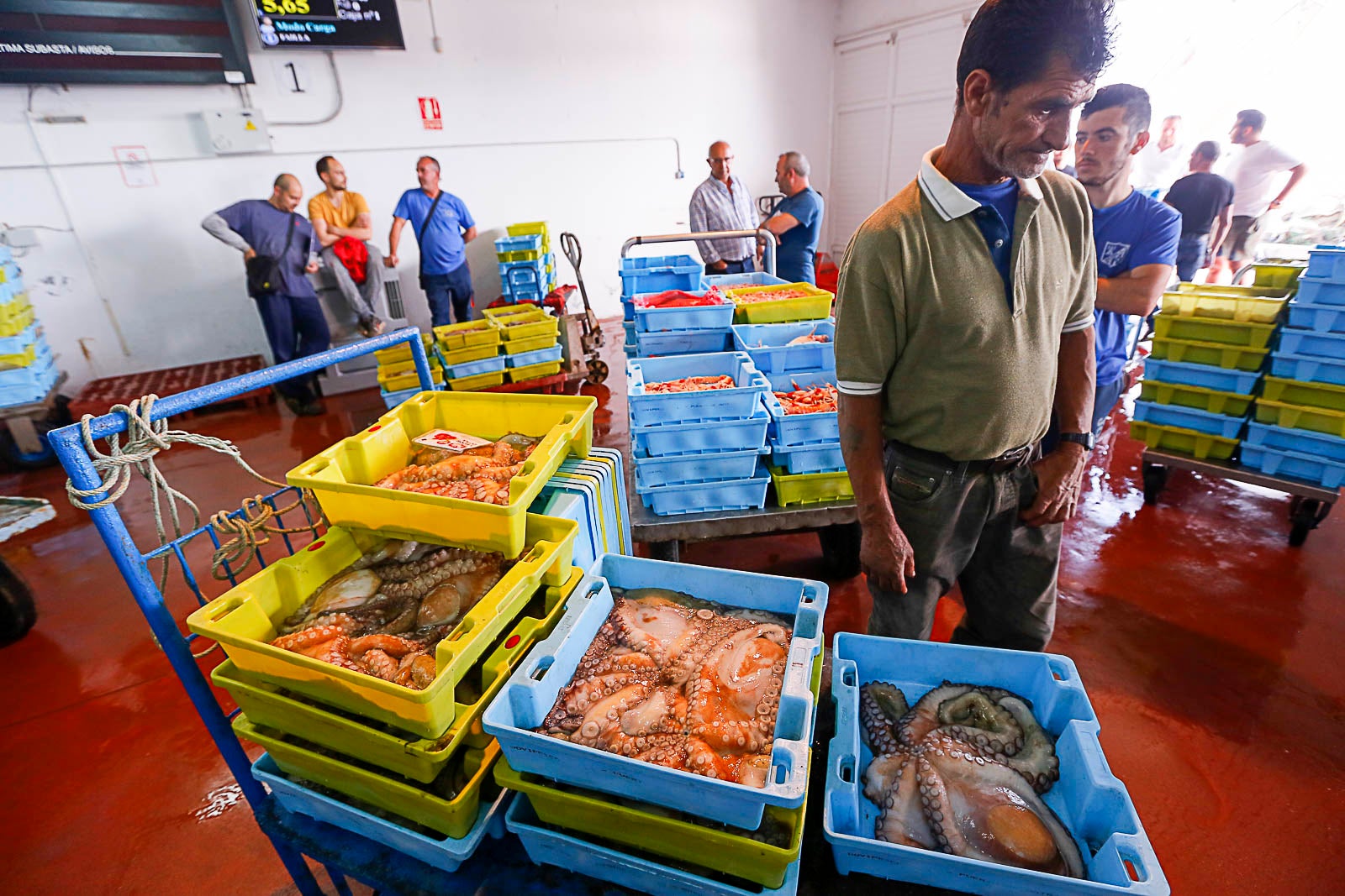 Fotos Una nueva norma más restrictiva condena a la desaparición a la